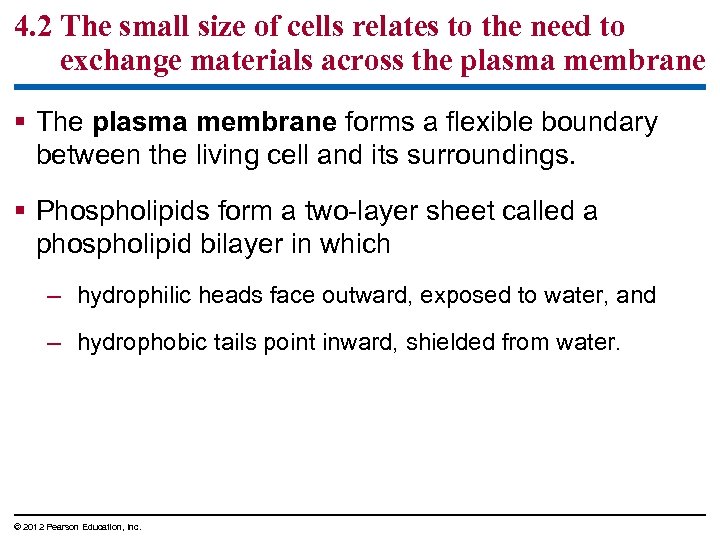 4. 2 The small size of cells relates to the need to exchange materials