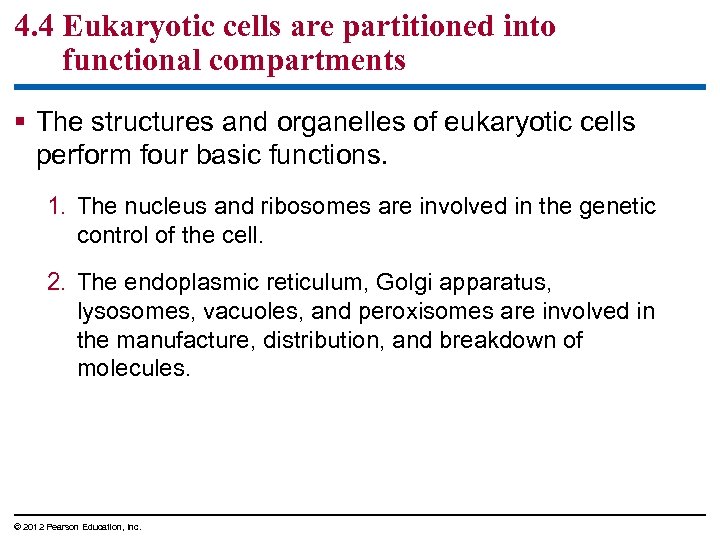 4. 4 Eukaryotic cells are partitioned into functional compartments § The structures and organelles