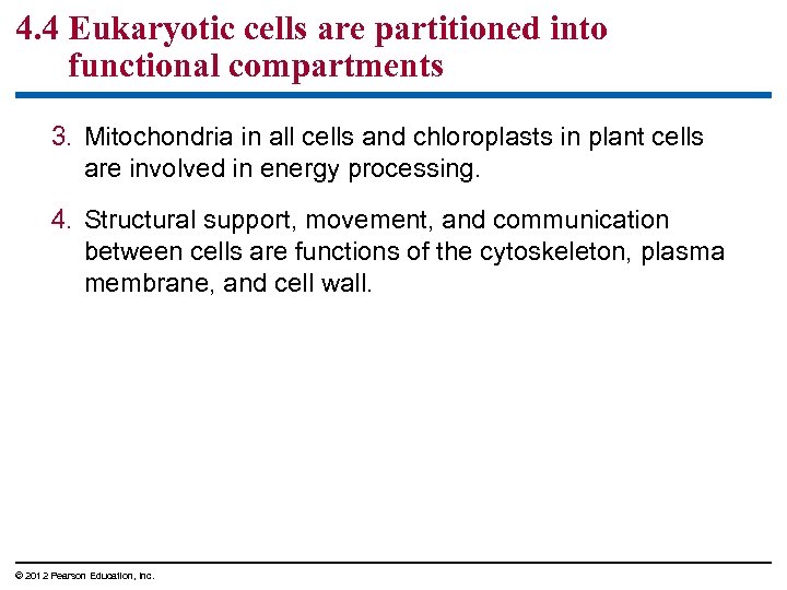 4. 4 Eukaryotic cells are partitioned into functional compartments 3. Mitochondria in all cells