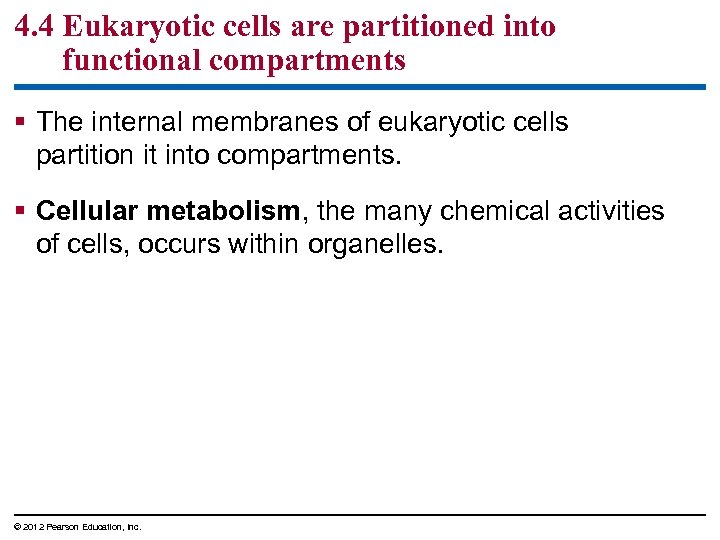 4. 4 Eukaryotic cells are partitioned into functional compartments § The internal membranes of
