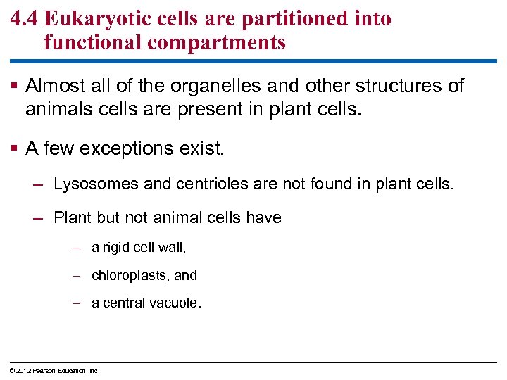 4. 4 Eukaryotic cells are partitioned into functional compartments § Almost all of the