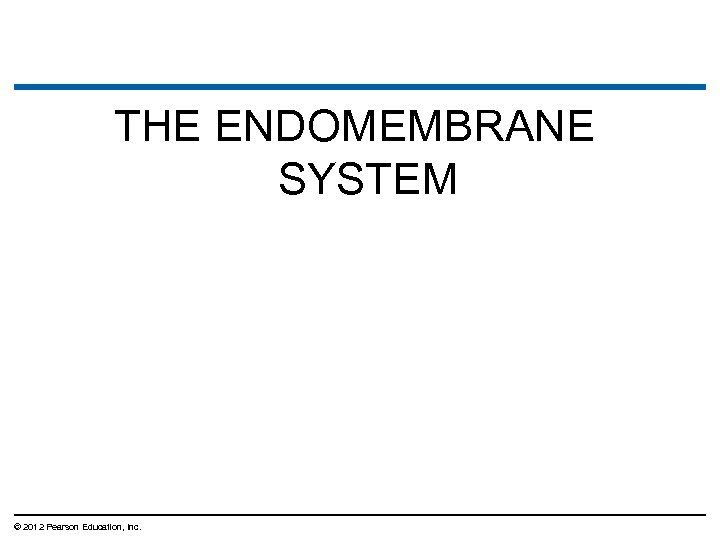 THE ENDOMEMBRANE SYSTEM © 2012 Pearson Education, Inc. 