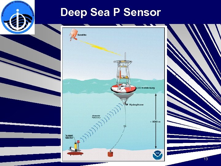 Deep Sea P Sensor 13 
