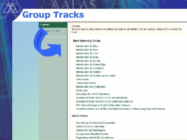 Group Tracks 