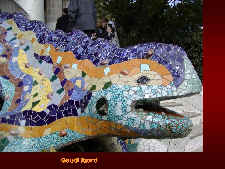 Gaudi lizard 