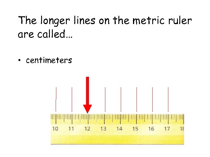 The longer lines on the metric ruler are called… • centimeters 