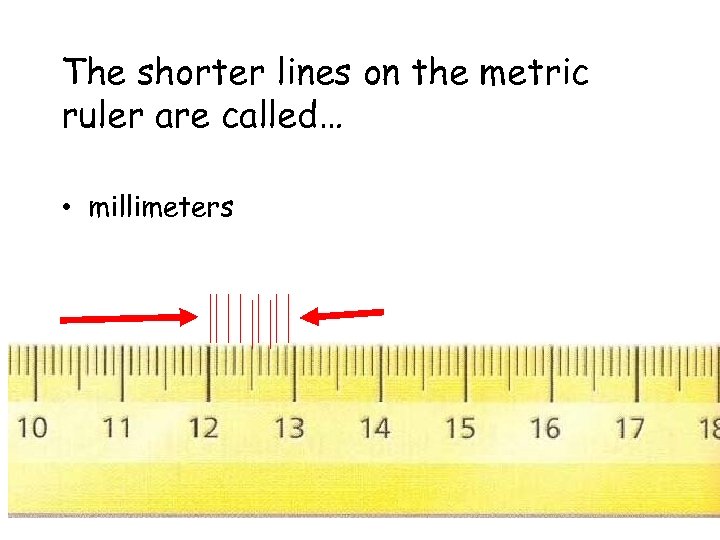 The shorter lines on the metric ruler are called… • millimeters 