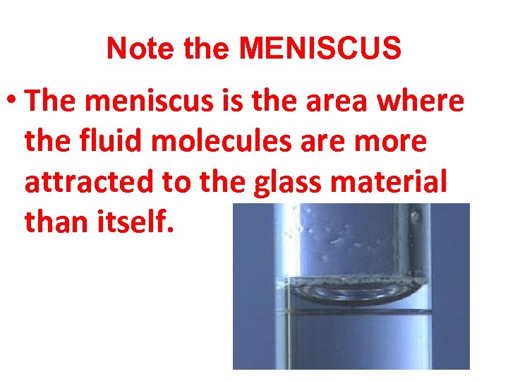 Note the MENISCUS • The meniscus is the area where the fluid molecules are