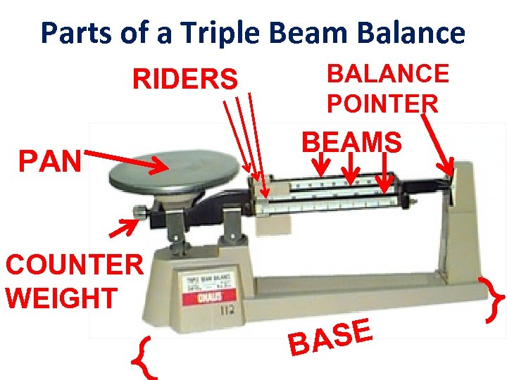 Parts of a Triple Beam Balance RIDERS PAN BALANCE POINTER BEAMS COUNTER WEIGHT SE
