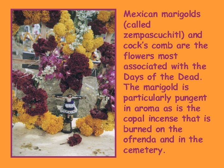 Mexican marigolds (called zempascuchitl) and cock’s comb are the flowers most associated with the