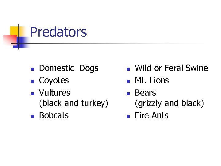 Predators n n Domestic Dogs Coyotes Vultures (black and turkey) Bobcats n n Wild