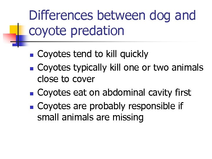 Differences between dog and coyote predation n n Coyotes tend to kill quickly Coyotes