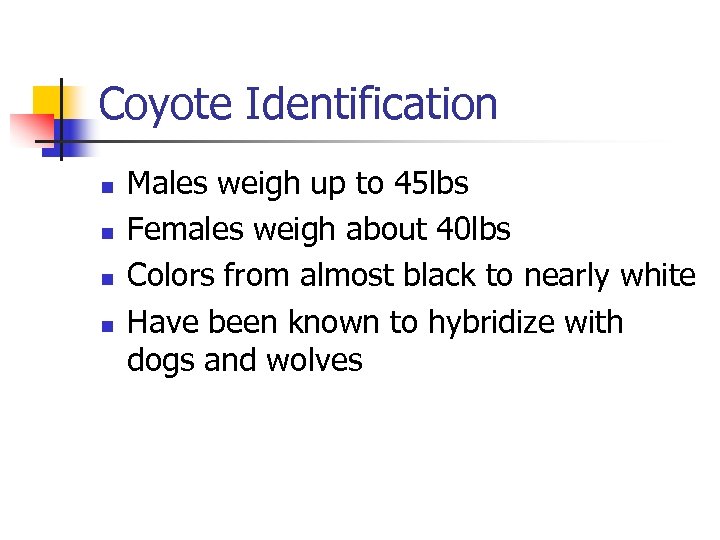 Coyote Identification n n Males weigh up to 45 lbs Females weigh about 40