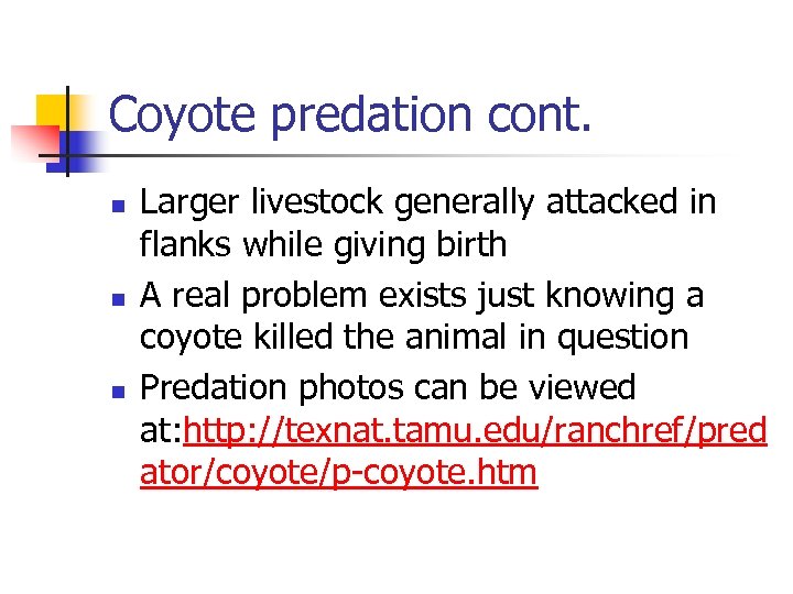 Coyote predation cont. n n n Larger livestock generally attacked in flanks while giving