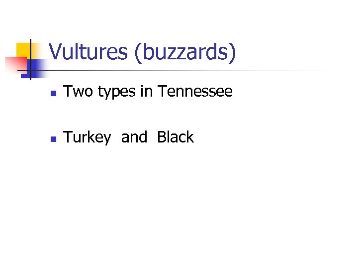 Vultures (buzzards) n Two types in Tennessee n Turkey and Black 