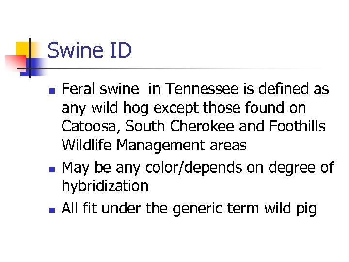 Swine ID n n n Feral swine in Tennessee is defined as any wild