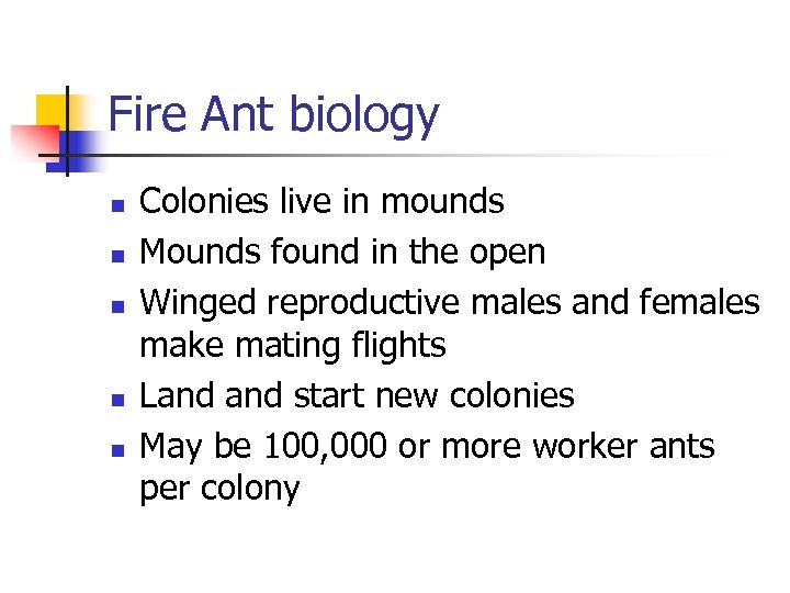 Fire Ant biology n n n Colonies live in mounds Mounds found in the