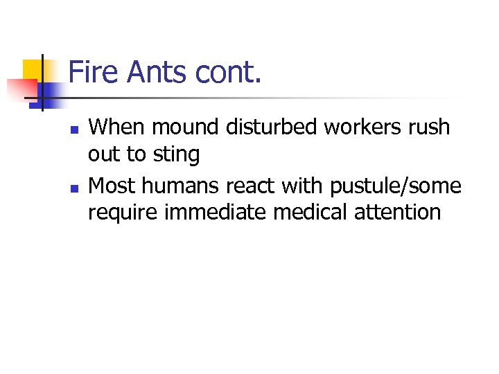 Fire Ants cont. n n When mound disturbed workers rush out to sting Most