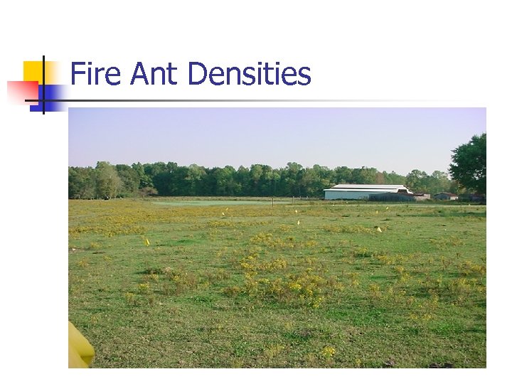 Fire Ant Densities 