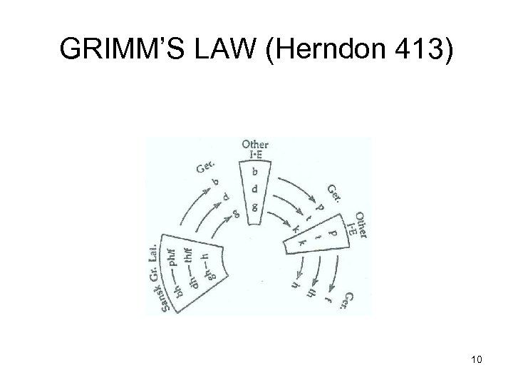 GRIMM’S LAW (Herndon 413) 10 