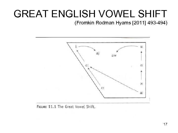 GREAT ENGLISH VOWEL SHIFT (Fromkin Rodman Hyams [2011] 493 -494) 17 