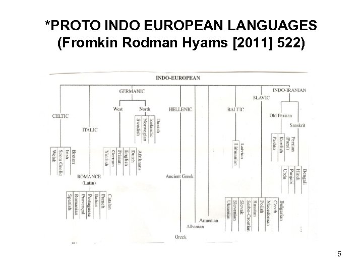 *PROTO INDO EUROPEAN LANGUAGES (Fromkin Rodman Hyams [2011] 522) 5 