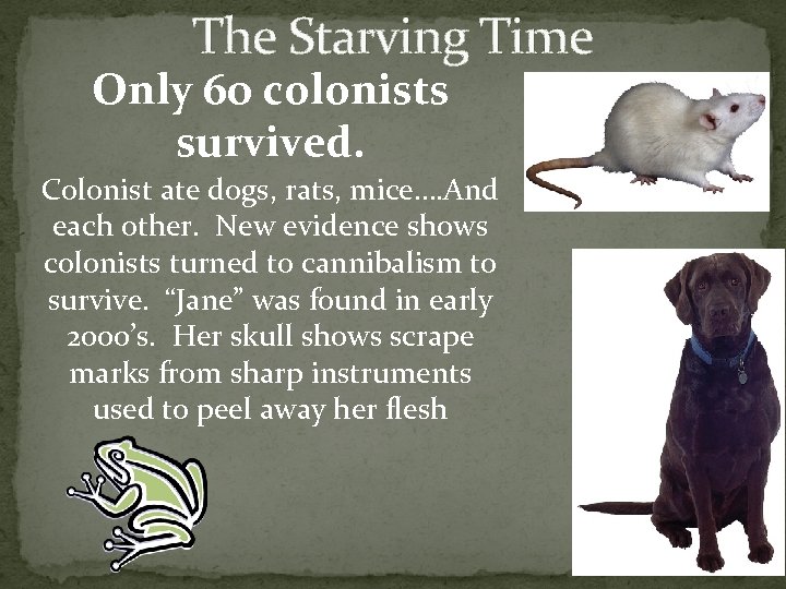 The Starving Time Only 60 colonists survived. Colonist ate dogs, rats, mice…. And each