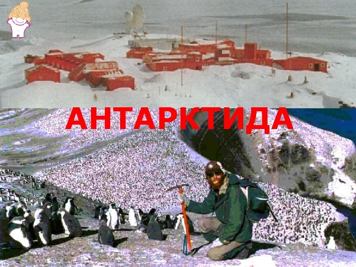 АНТАРКТИДА 