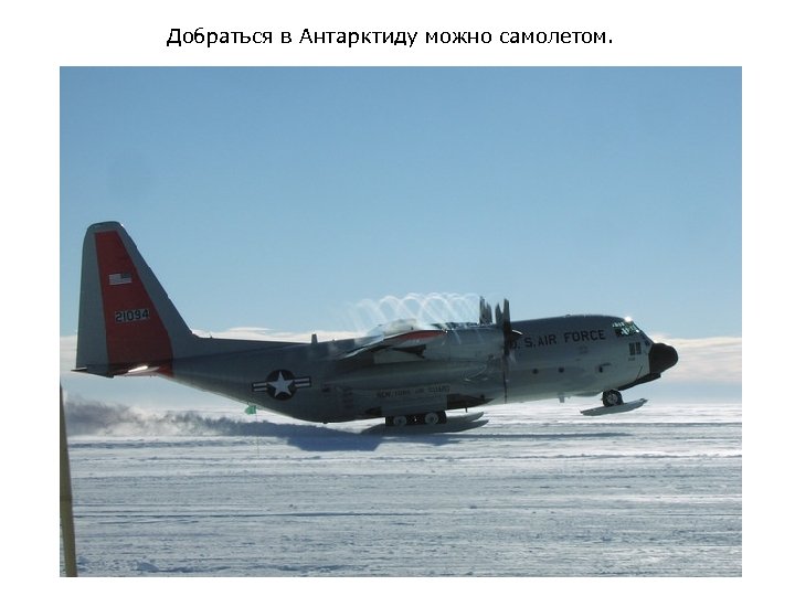 Добраться в Антарктиду можно самолетом. 