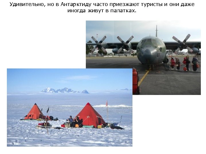 Удивительно, но в Антарктиду часто приезжают туристы и они даже иногда живут в палатках.