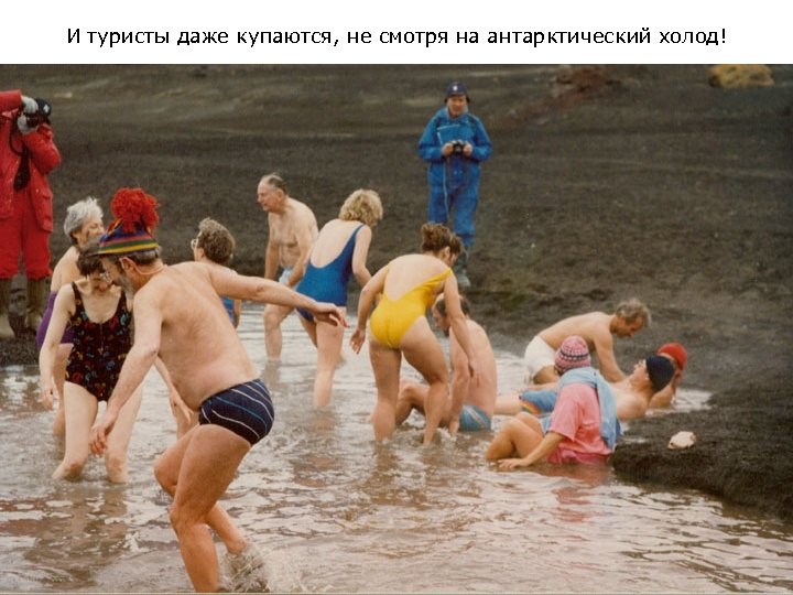 И туристы даже купаются, не смотря на антарктический холод! 