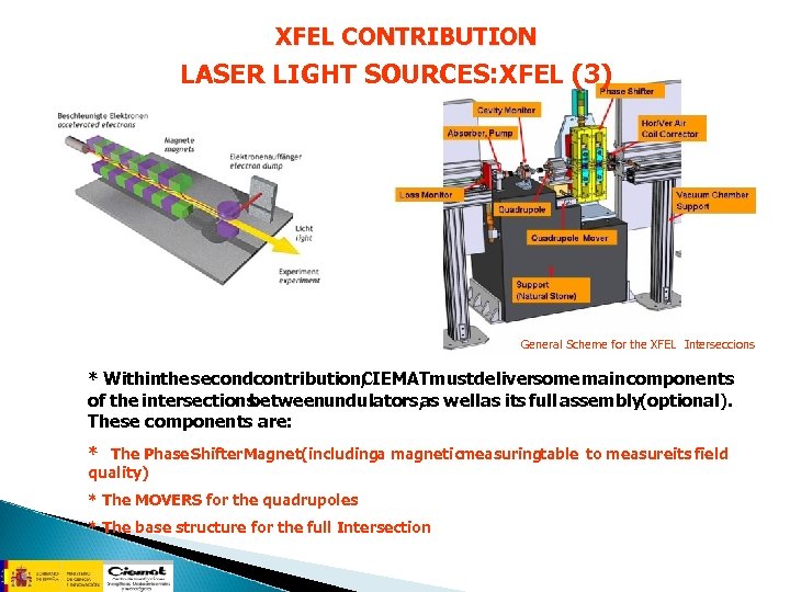 XFEL CONTRIBUTION LASER LIGHT SOURCES: XFEL (3) General Scheme for the XFEL Interseccions *