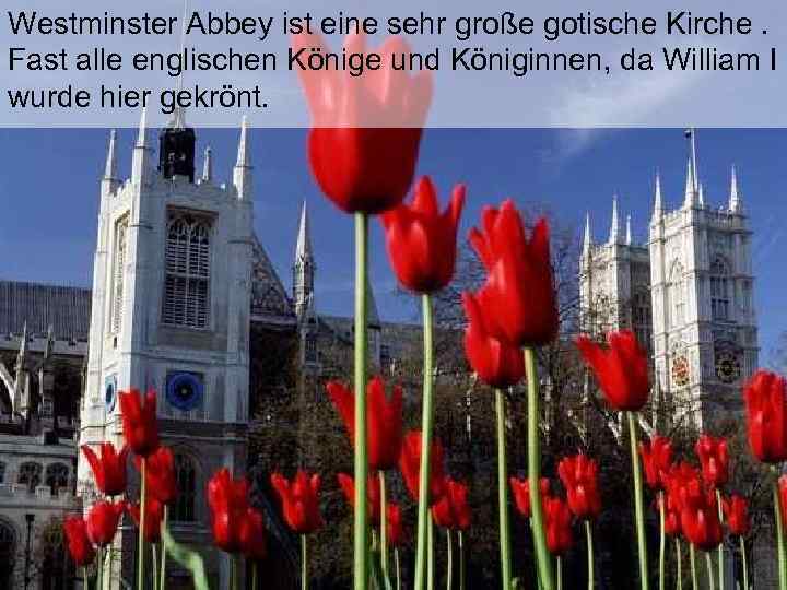 Westminster Abbey ist eine sehr große gotische Kirche. Fast alle englischen Könige und Königinnen,