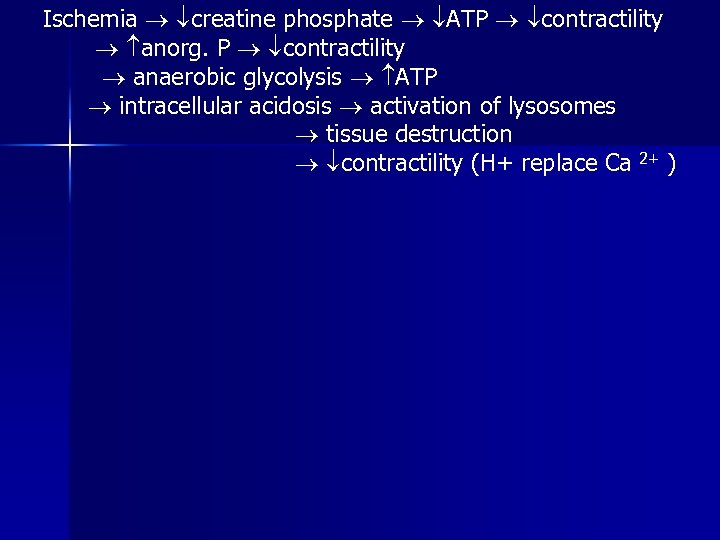 Ischemia creatine phosphate ATP contractility anorg. P contractility anaerobic glycolysis ATP intracellular acidosis activation