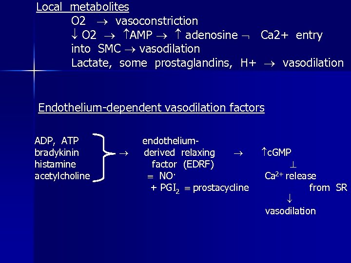 Local metabolites O 2 vasoconstriction O 2 AMP adenosine Ca 2+ entry into SMC