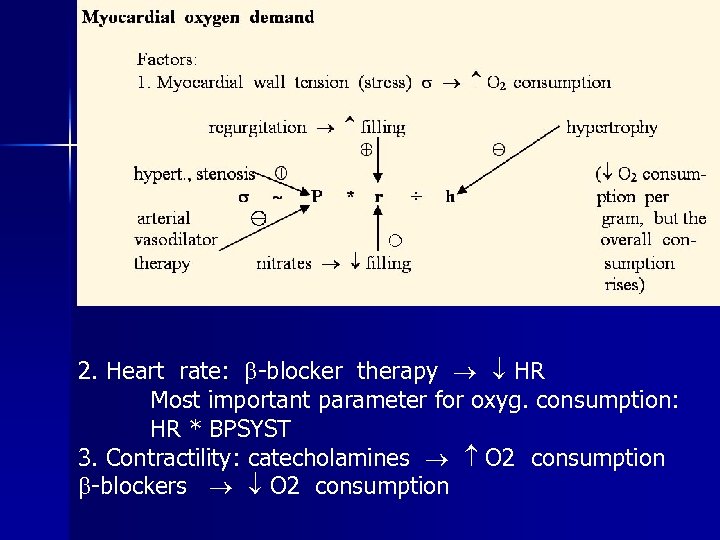 2. Heart rate: -blocker therapy HR Most important parameter for oxyg. consumption: HR *