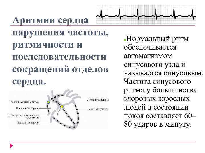 Аритмии сердца – нарушения частоты, ритмичности и последовательности сокращений отделов сердца. Нормальный ритм обеспечивается