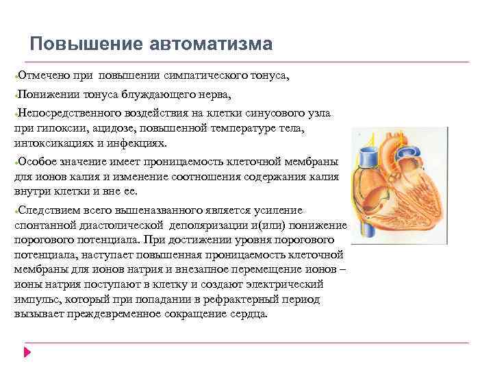 Повышение автоматизма Отмечено при повышении симпатического тонуса, ● Понижении тонуса блуждающего нерва, ● Непосредственного