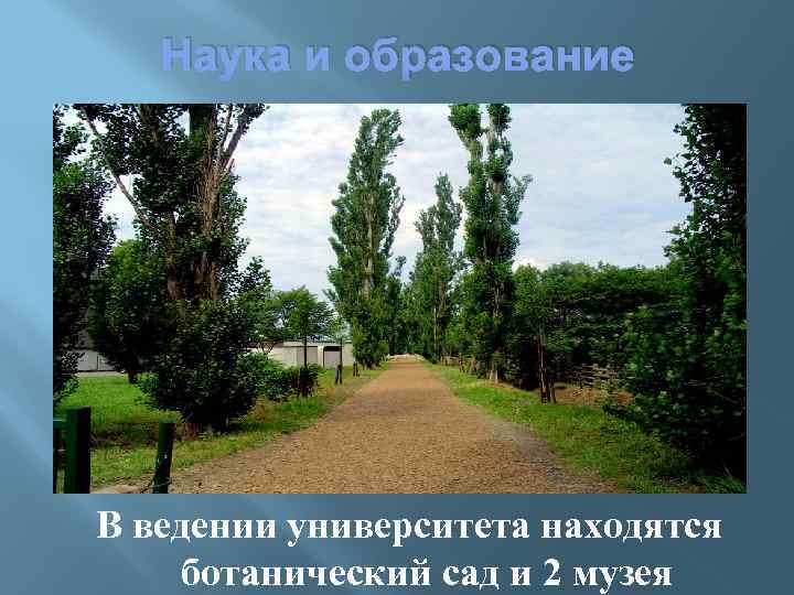 Наука и образование В ведении университета находятся ботанический сад и 2 музея 