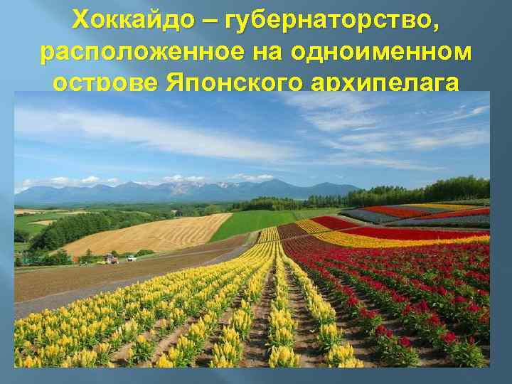 Хоккайдо – губернаторство, расположенное на одноименном острове Японского архипелага 