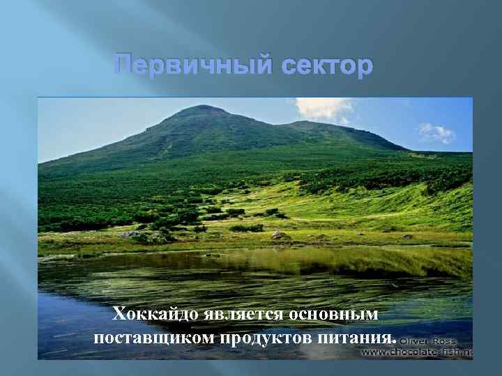 Первичный сектор Хоккайдо является основным поставщиком продуктов питания. 