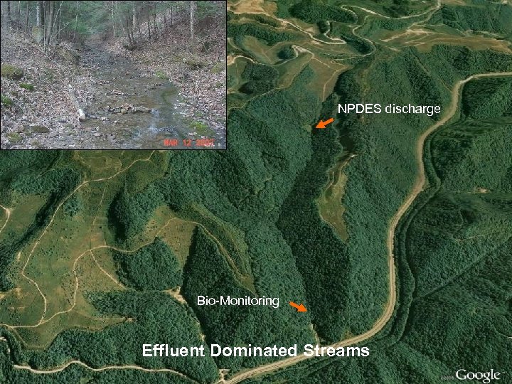 NPDES discharge Bio-Monitoring Effluent Dominated Streams 