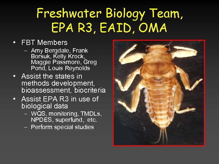 Freshwater Biology Team, EPA R 3, EAID, OMA • FBT Members – Amy Bergdale,