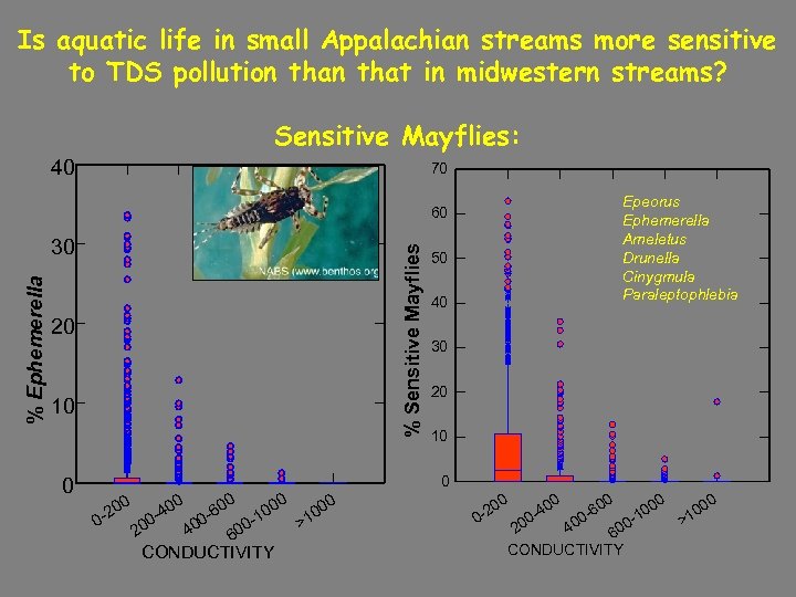 Is aquatic life in small Appalachian streams more sensitive to TDS pollution that in
