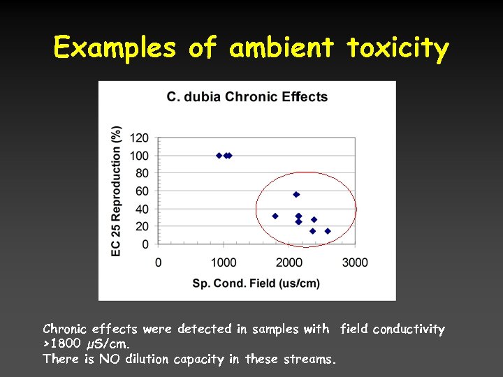 Examples of ambient toxicity Chronic effects were detected in samples with field conductivity >1800