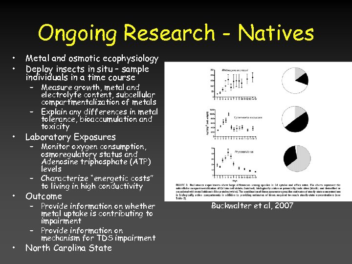Ongoing Research - Natives • • Metal and osmotic ecophysiology Deploy insects in situ
