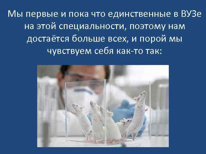 Мы первые и пока что единственные в ВУЗе на этой специальности, поэтому нам достаётся