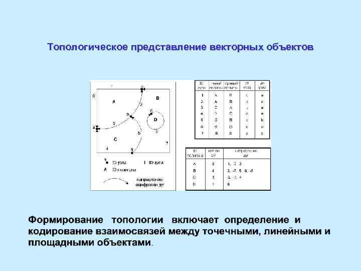 Топологическое представление векторных объектов 