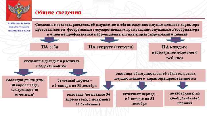 Общие сведения Сведения о доходах, расходах, об имуществе и обязательствах имущественного характера представляются федеральным