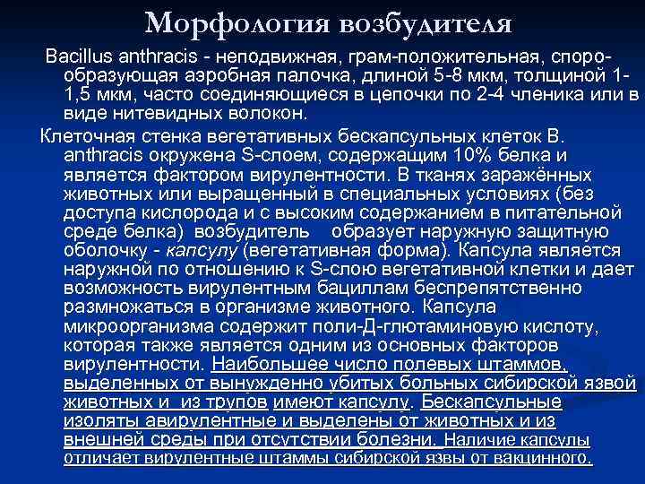 Морфология возбудителя Bacillus anthracis - неподвижная, грам-положительная, споро- образующая аэробная палочка, длиной 5 -8